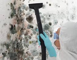 Best Air Quality Testing for Mold Spores  in Lomita, CA